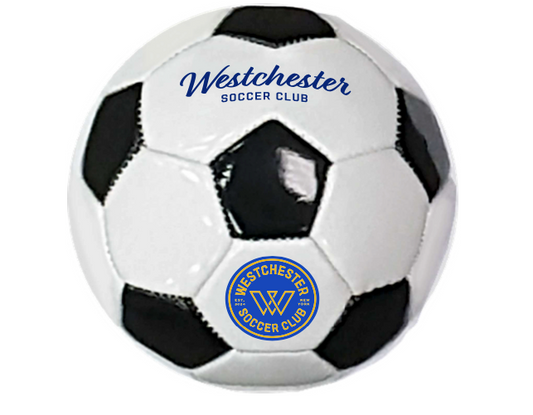 5" Mini Soccer Ball